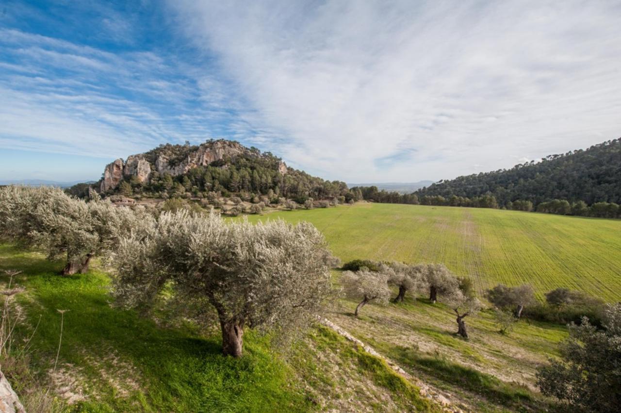 Besso Mancor De La Vall
